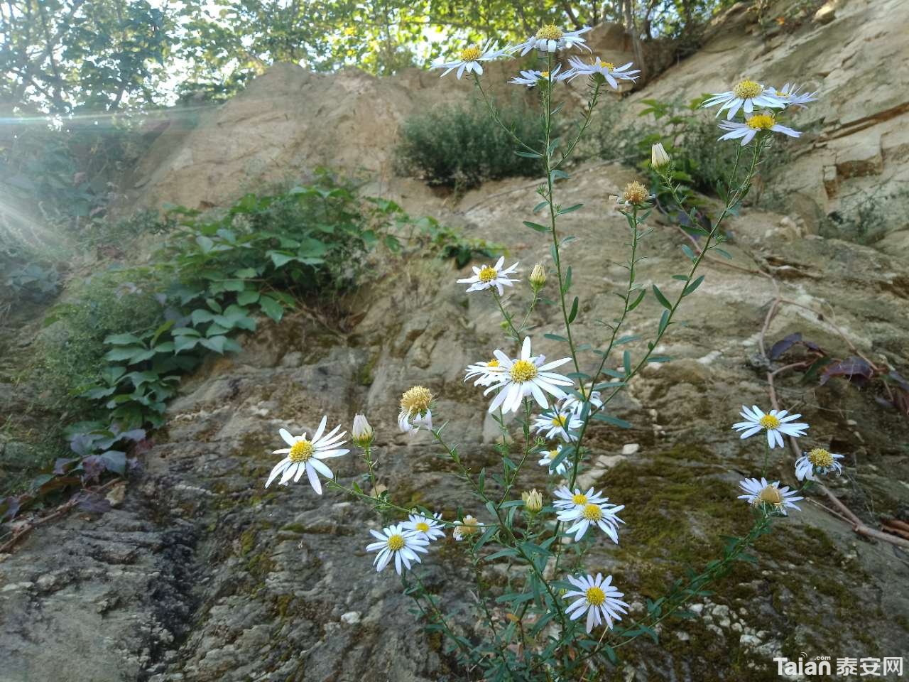 20181001_880687_1538347579010.jpg