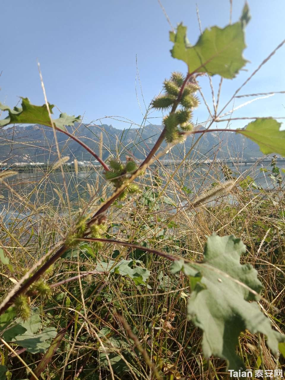 20181001_880687_1538348069470.jpg