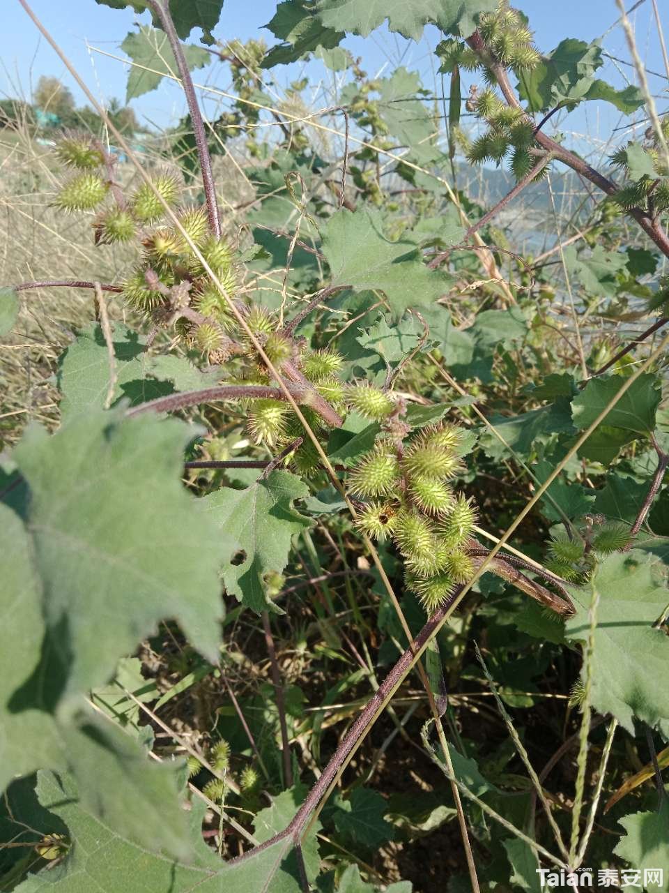 20181001_880687_1538348069878.jpg