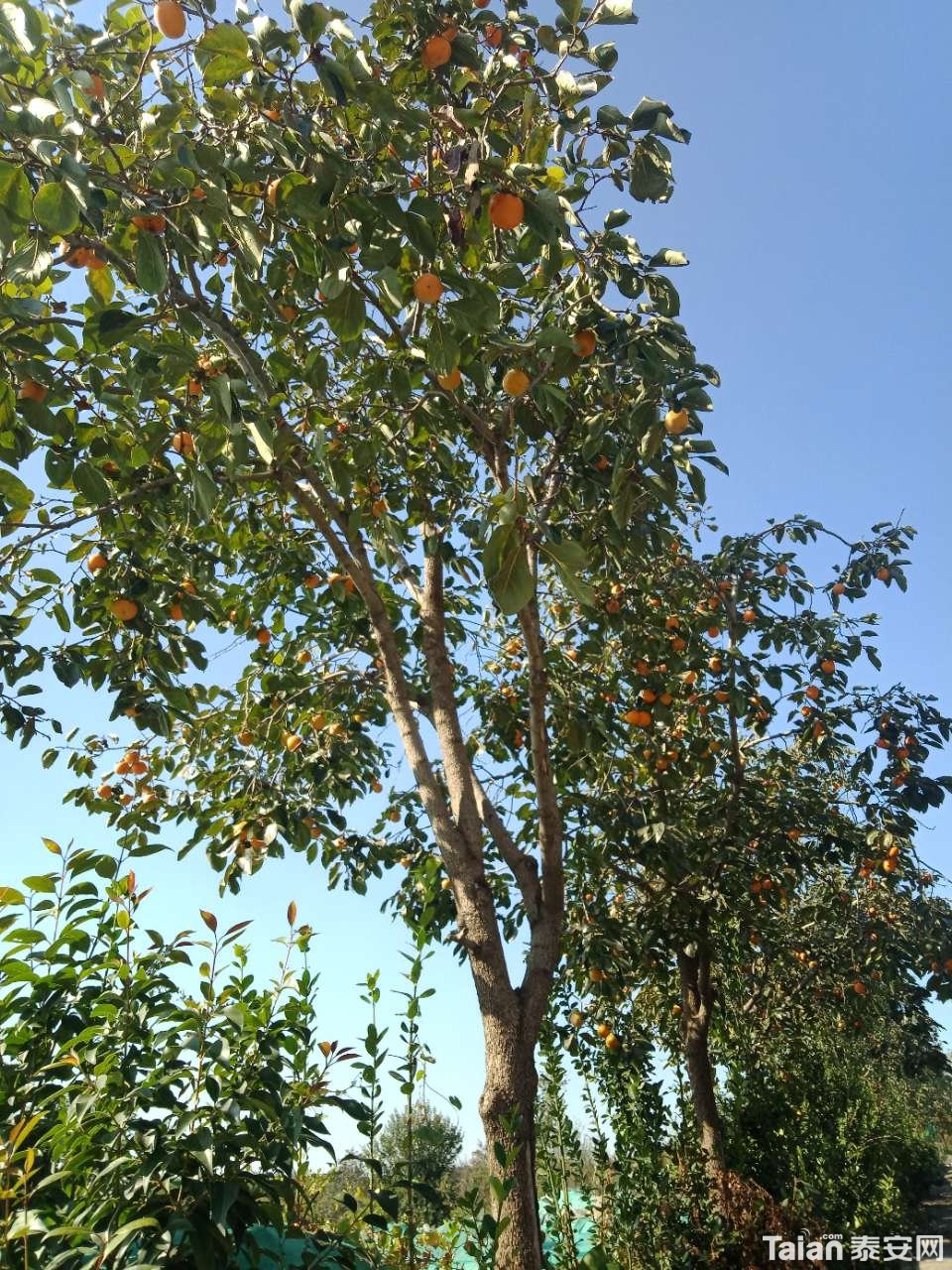 20181001_880687_1538348398066.jpg
