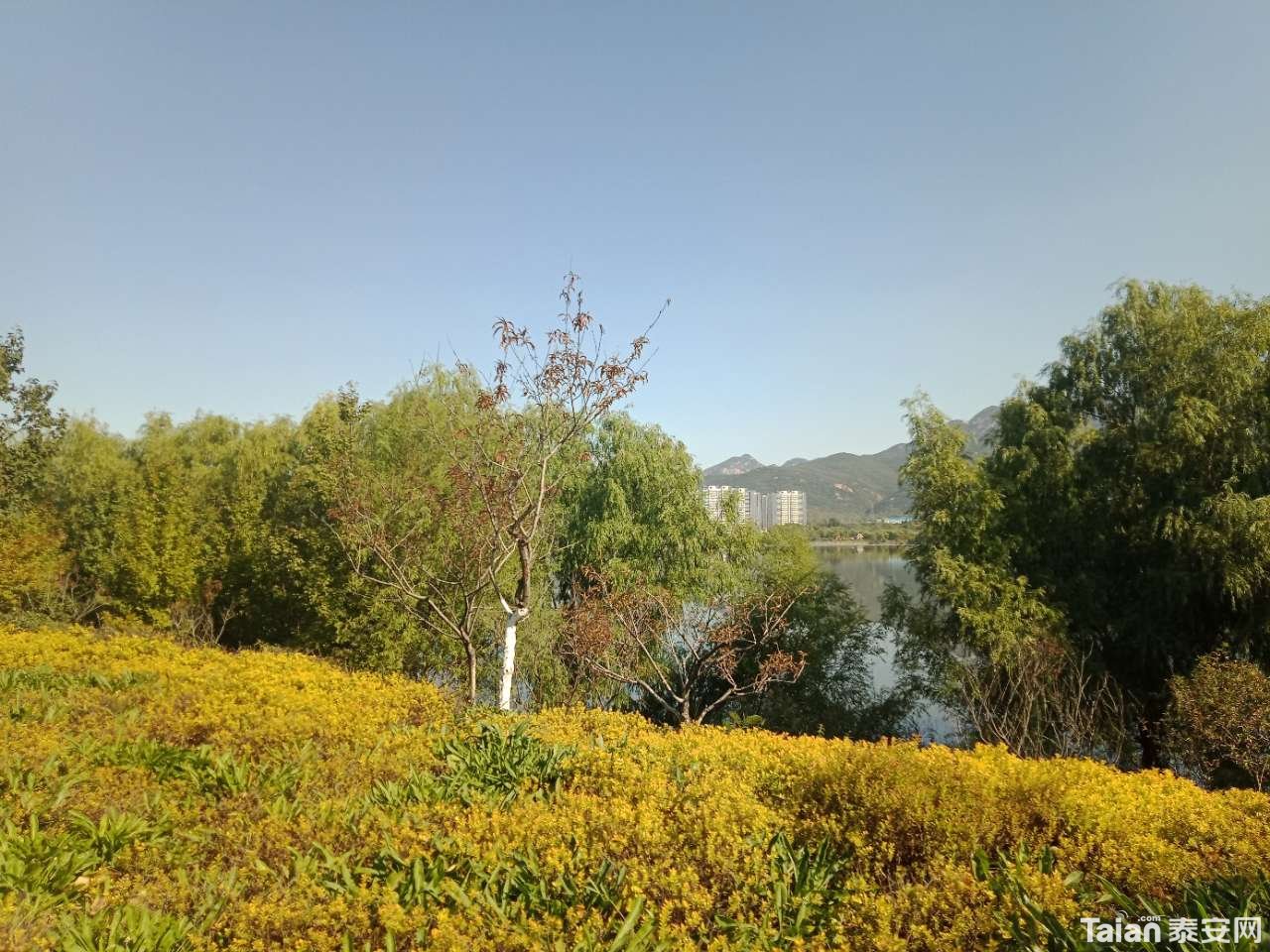 20181001_880687_1538348483306.jpg