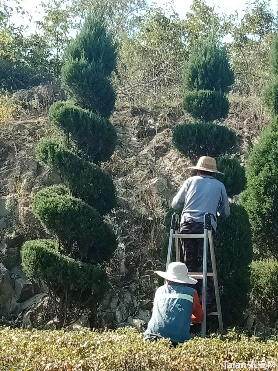 20181001_880687_1538348582482.jpg
