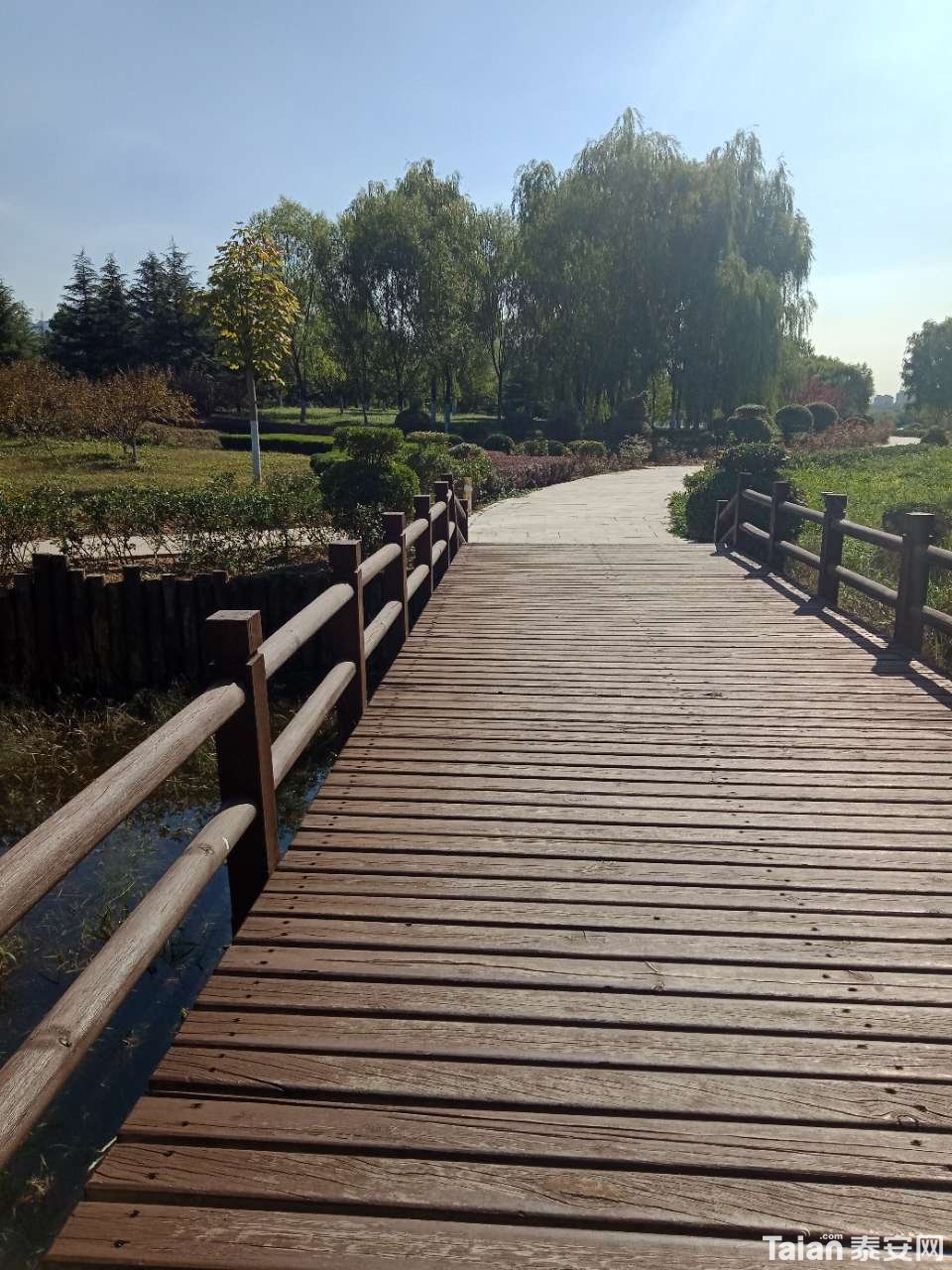 20181001_880687_1538349000471.jpg