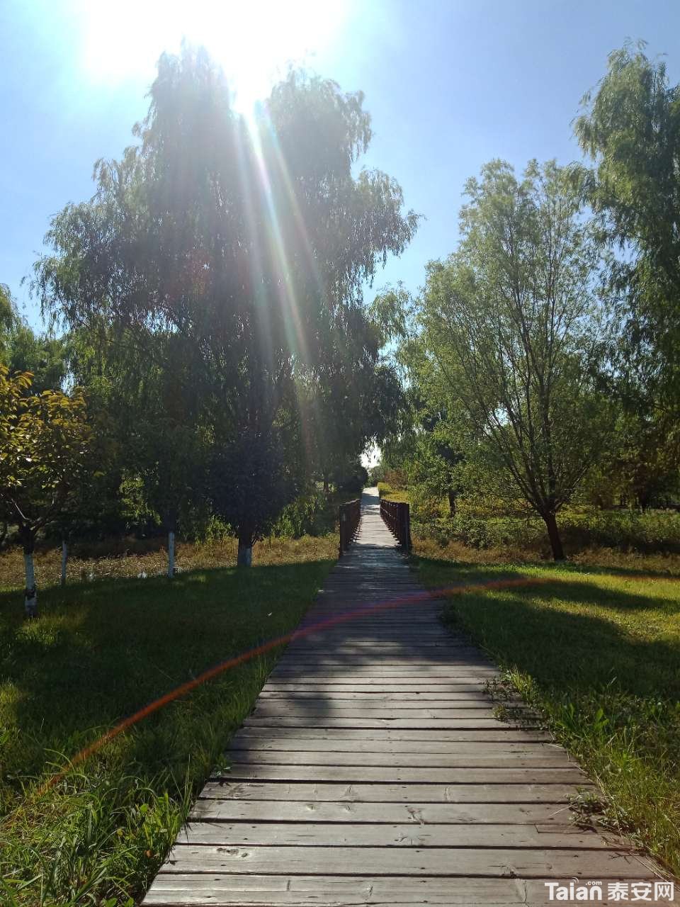 20181001_880687_1538349001100.jpg