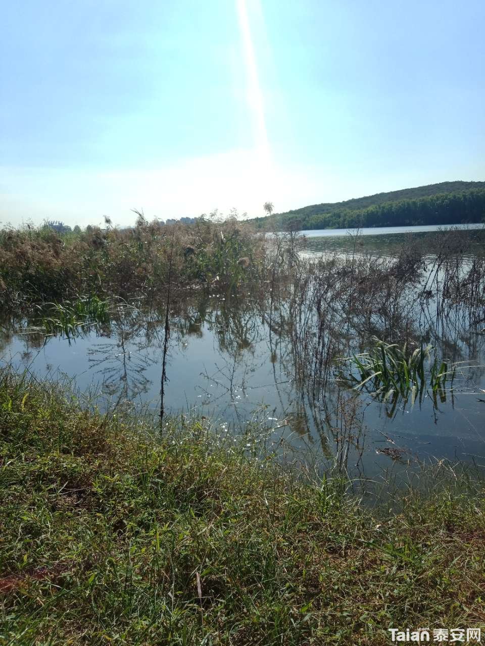 20181001_880687_1538349195502.jpg