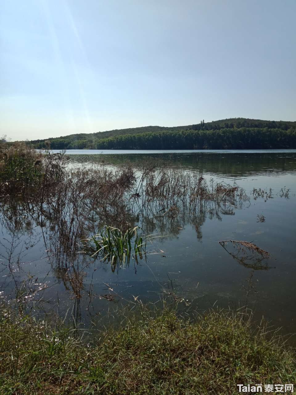 20181001_880687_1538349196214.jpg