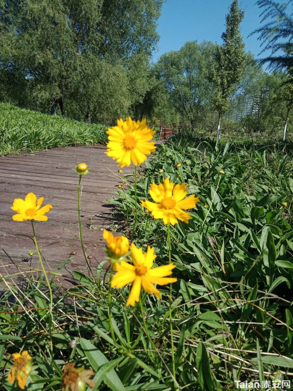 20181001_880687_1538349288684.jpg