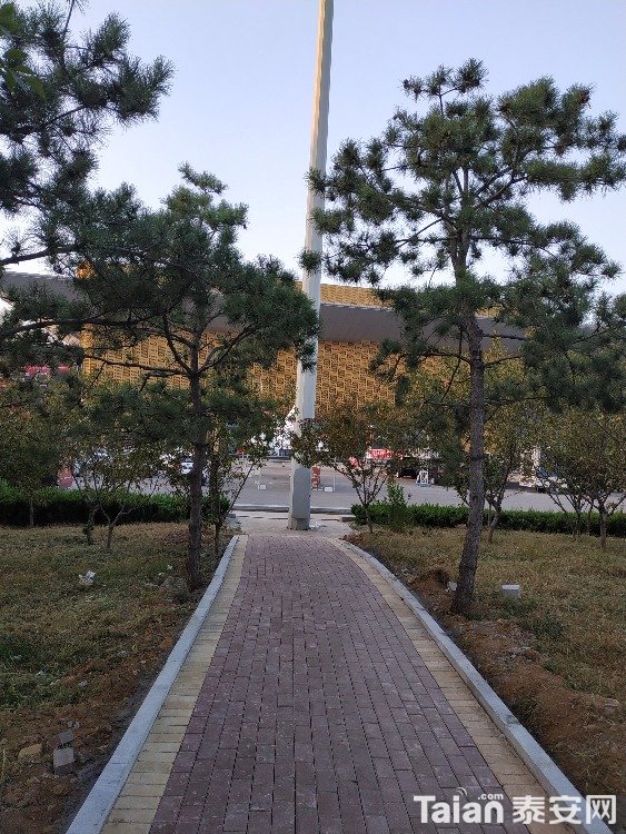 IMG_20181002_063515.jpg