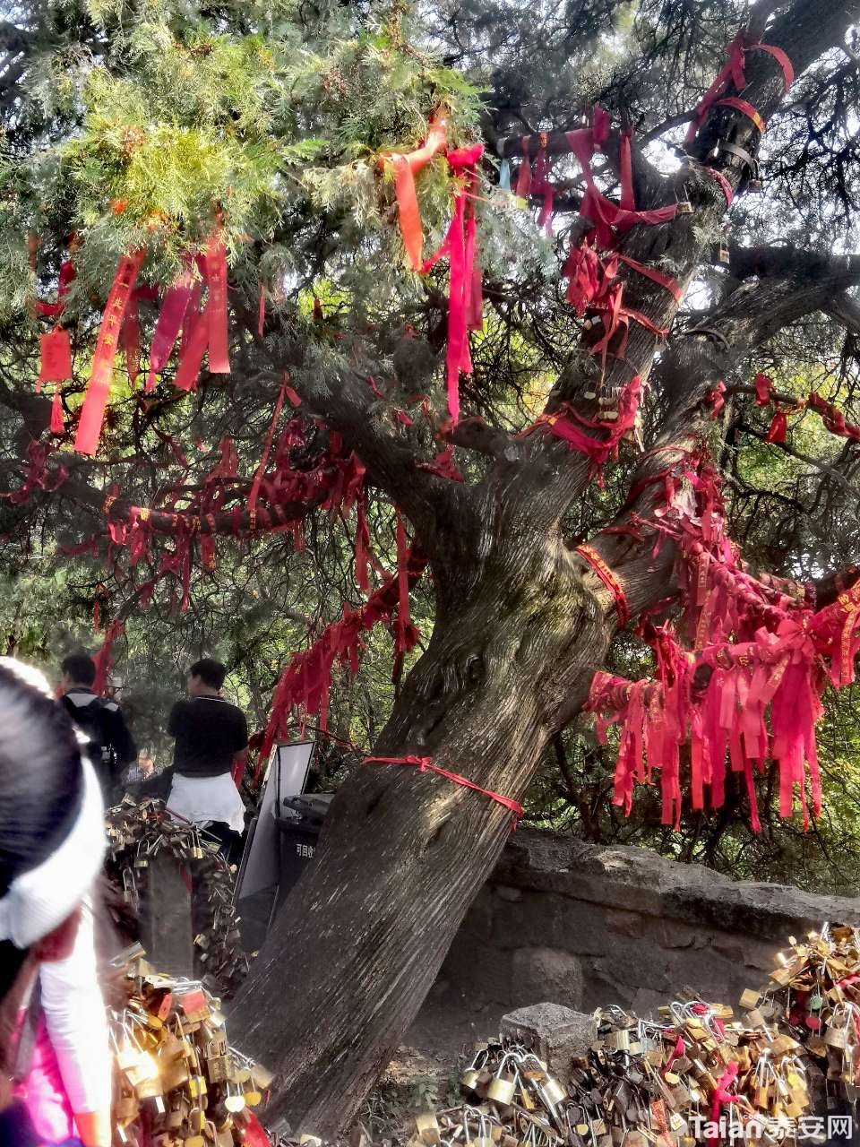 20181004_844465_1538644581284.jpg