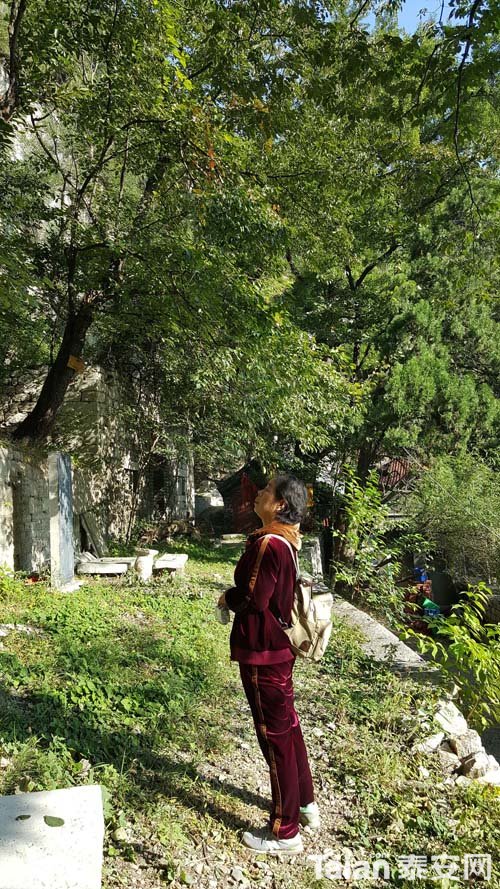 20181003_082050.jpg
