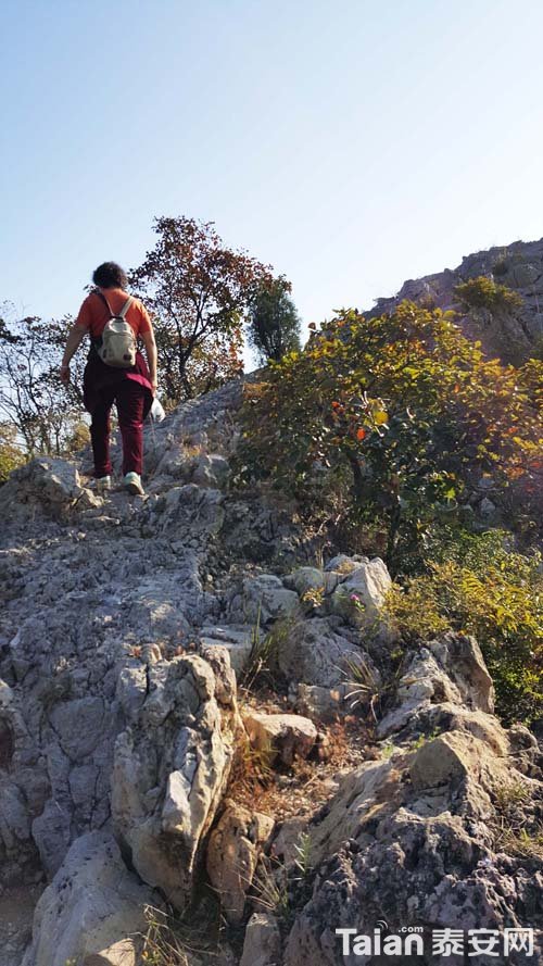 20181003_083147.jpg