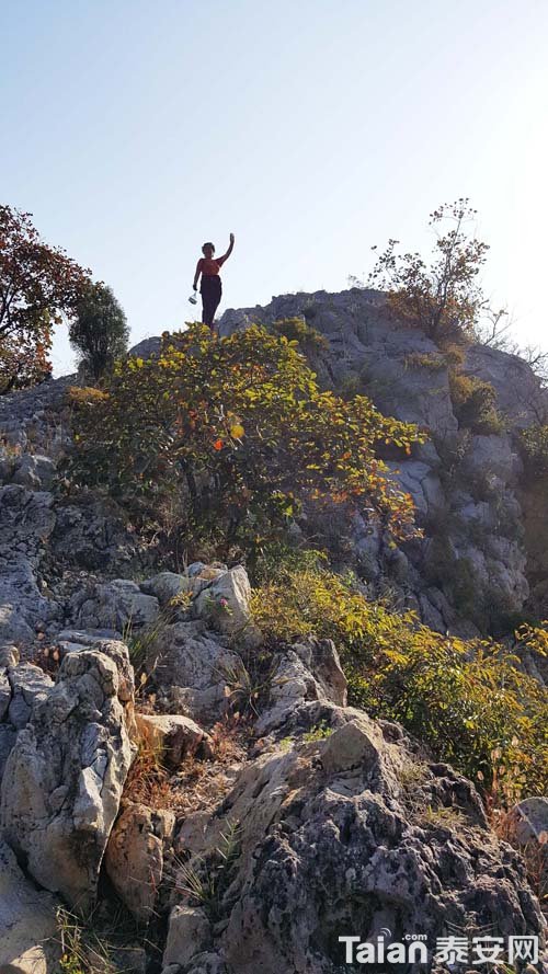20181003_083208.jpg