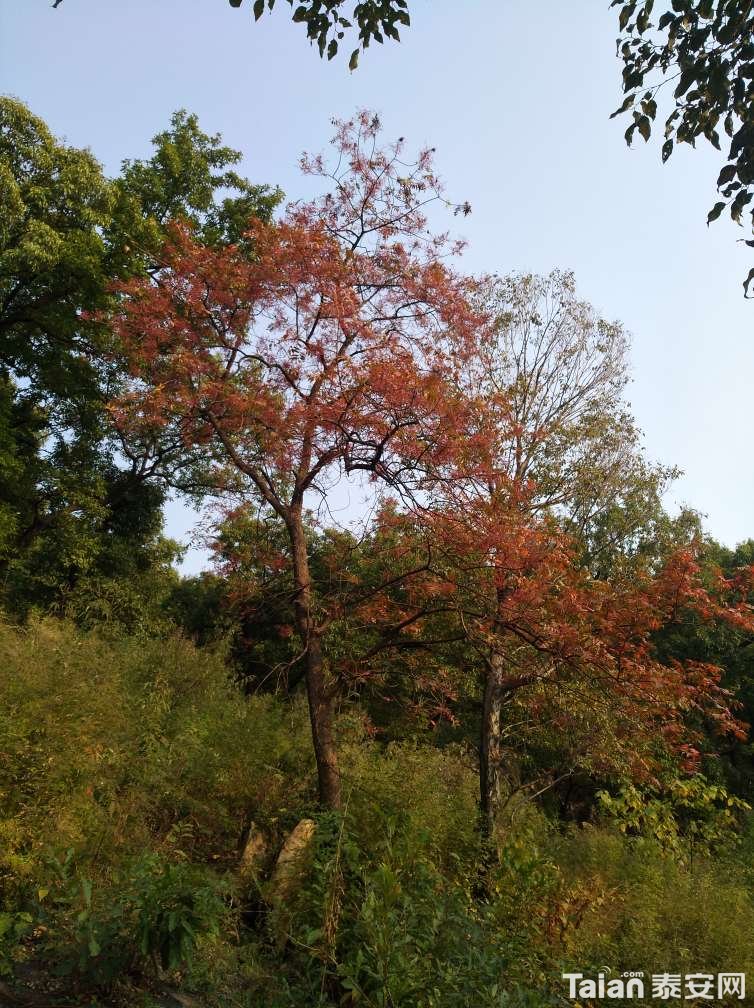 20181012_856634_1539358093074.jpg