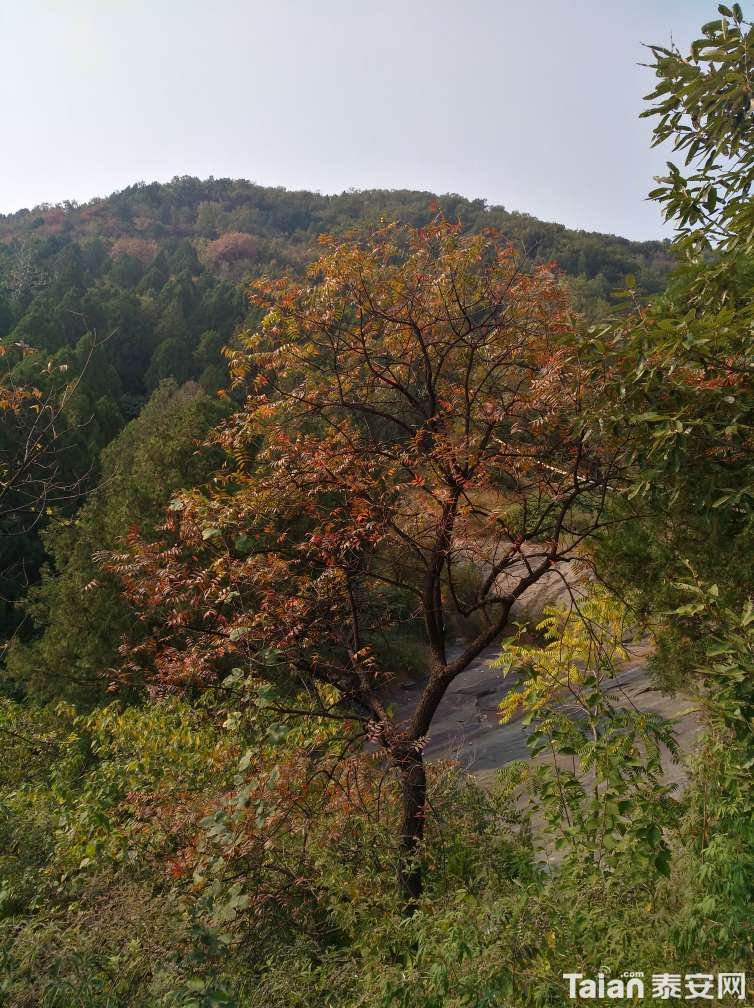 20181012_856634_1539358096235.jpg