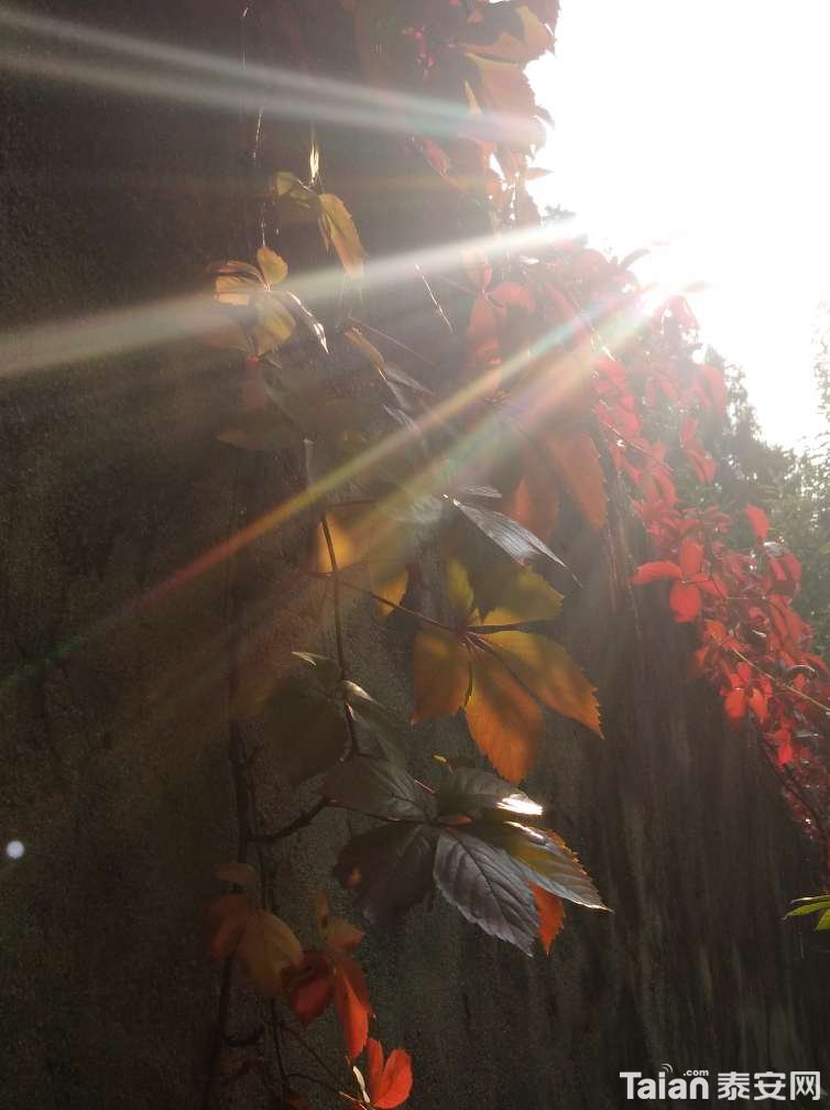 20181012_856634_1539358095495.jpg