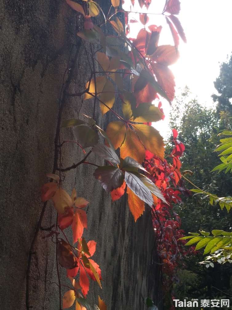 20181012_856634_1539358094897.jpg