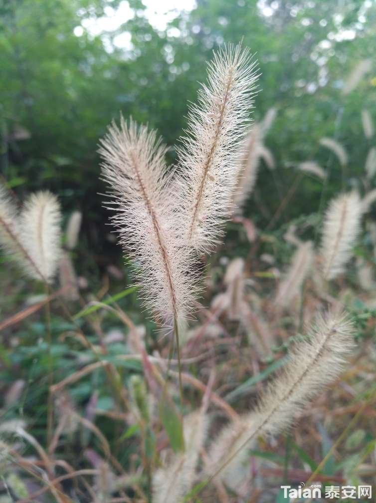 20181012_856634_1539358097133.jpg