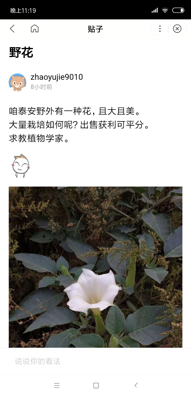 Screenshot_2018-10-15-23-19-38-841_com.baidu.searchbox.png