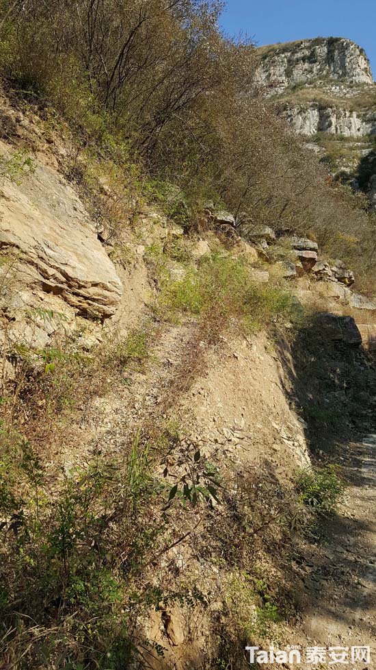 20181017_140608.jpg