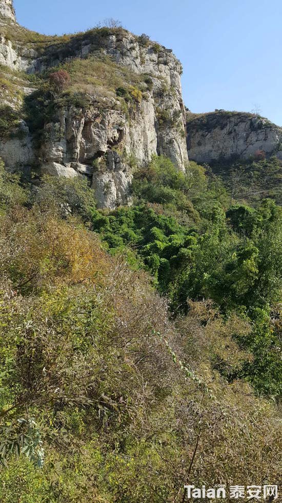 20181017_140936.jpg