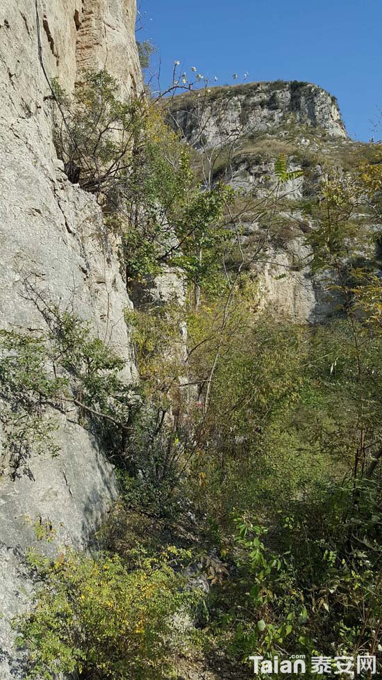 20181017_141408.jpg