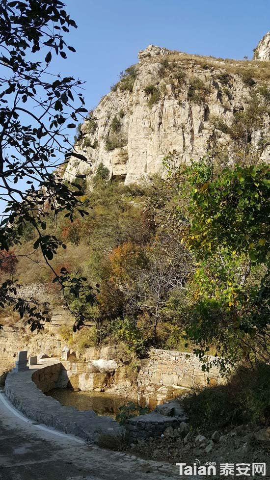 20181017_143134.jpg