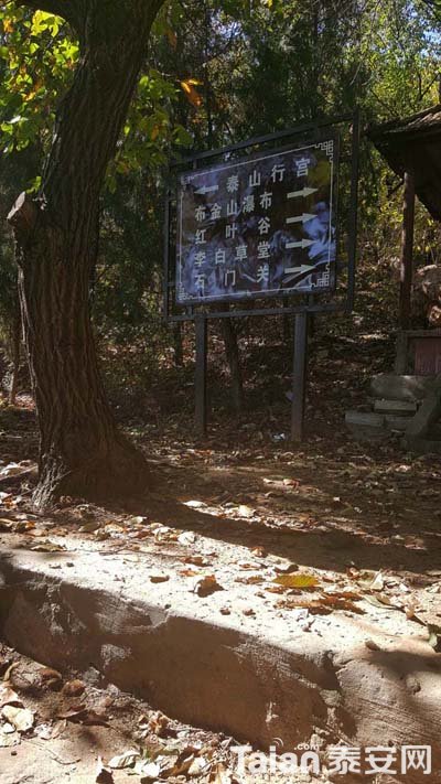 20181027_114335.jpg