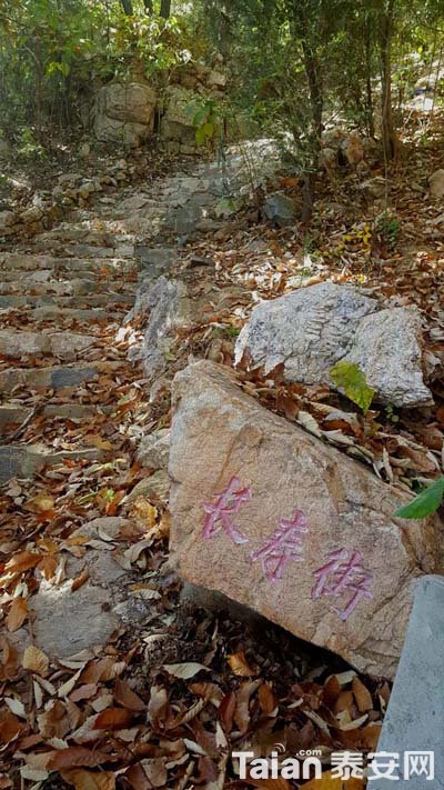 20181027_114639.jpg