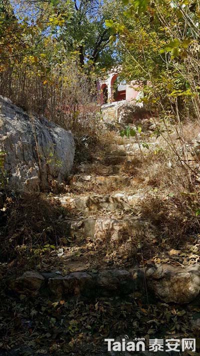 20181027_115215.jpg
