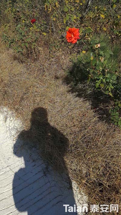 20181027_121332.jpg