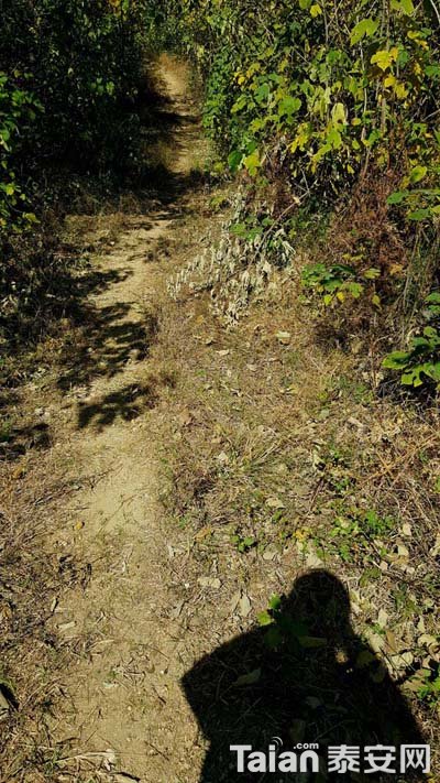 20181027_123648.jpg