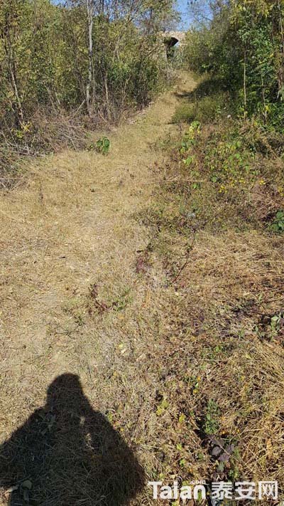 20181027_124146.jpg