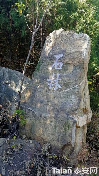 20181027_124144.jpg