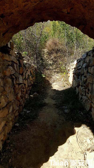 20181027_124640.jpg