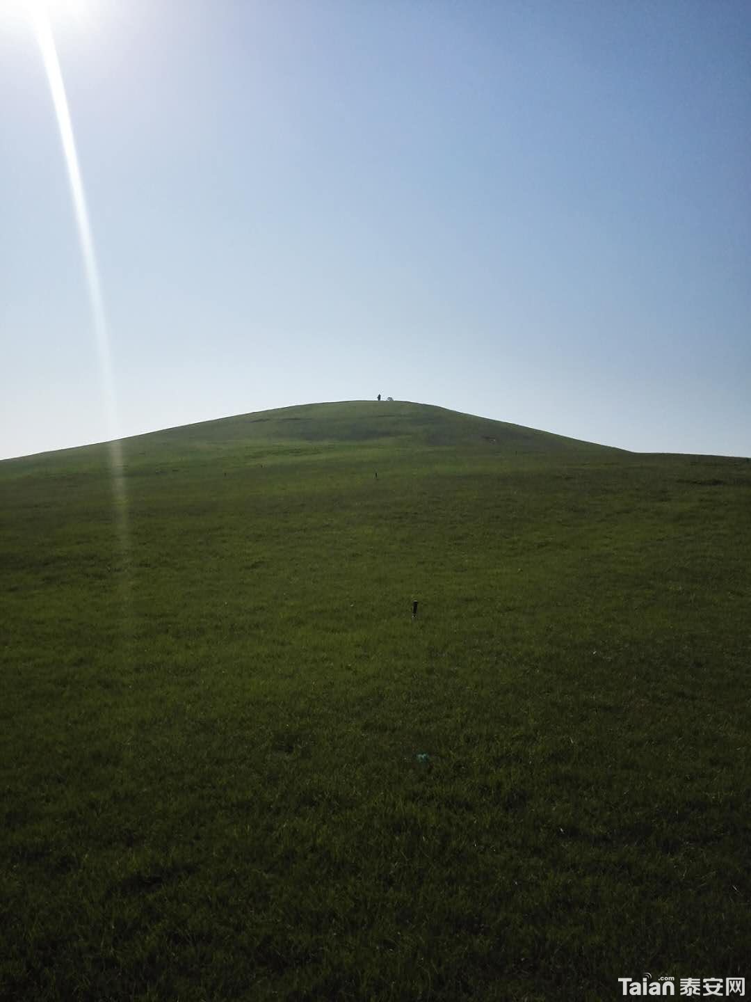 01.jpg