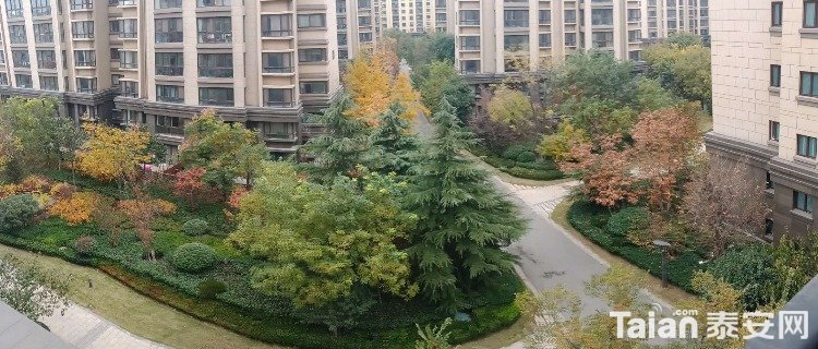 IMG_20181105_135342.jpg