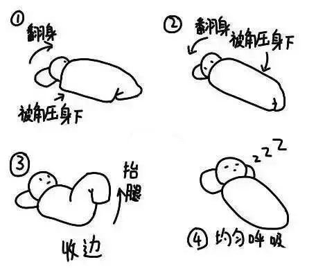 e6582f80be7584eb25cb75238bbb08f1.jpg