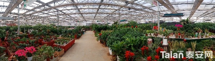 IMG20181107110908.jpg