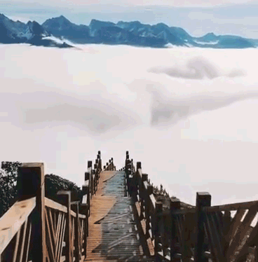 36c06119397f3e11ef18ee26d9f493e8.gif