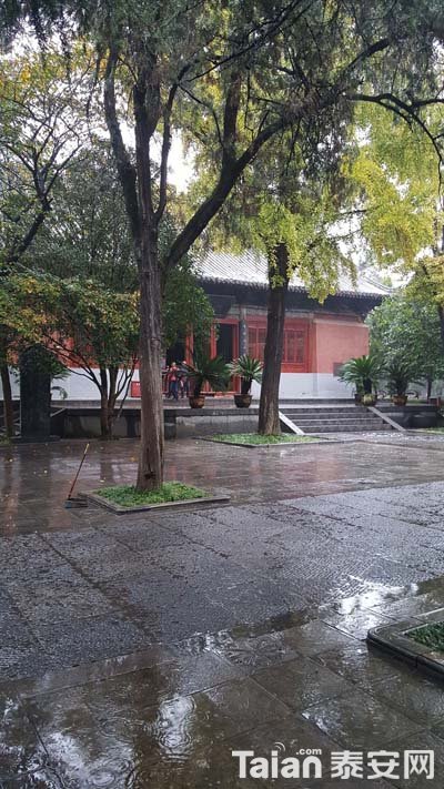 20181105_142315.jpg