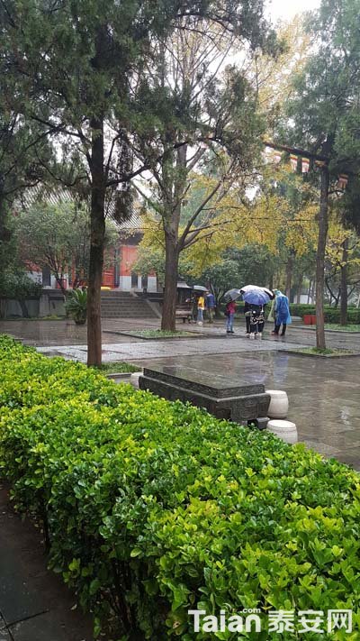 20181105_142417.jpg