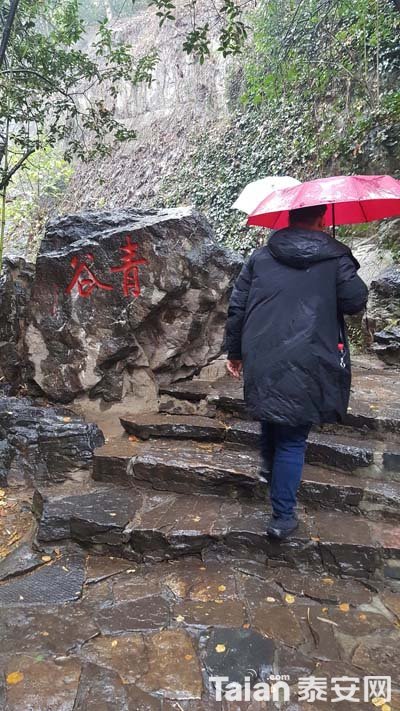 20181105_120213.jpg