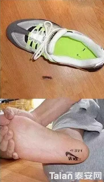 QQ��ͼ20181115171208.png