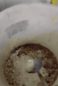 cd2bf9482315d1d2e63a50478ac2b5d8.gif
