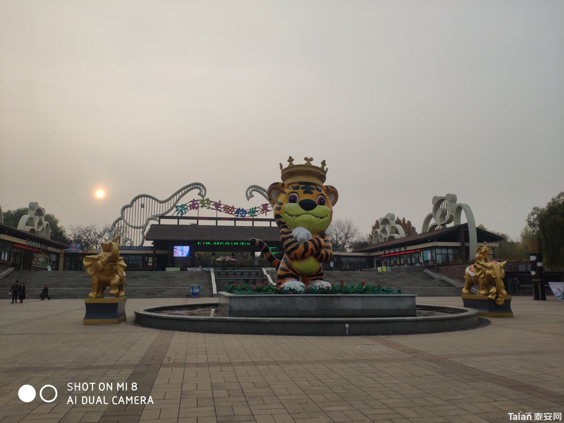 050F2B71A67DEE87160B8408DF8703F3.jpg
