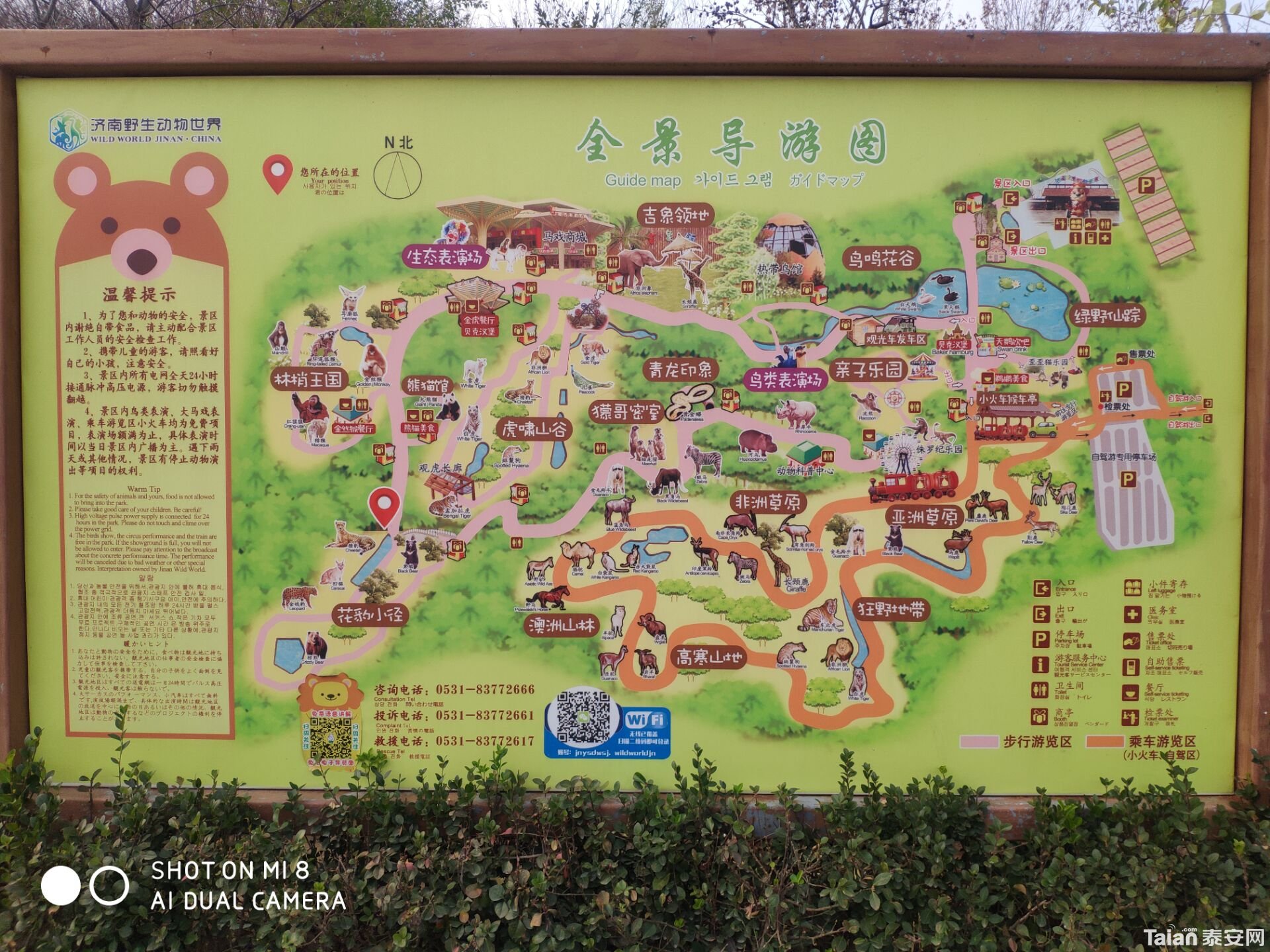 E4650C0B2A45E04BDE17F00A9B684558.jpg