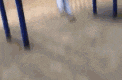 t016784554eedf57edf.gif