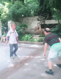 t01e6218a0cc1beab9e.gif