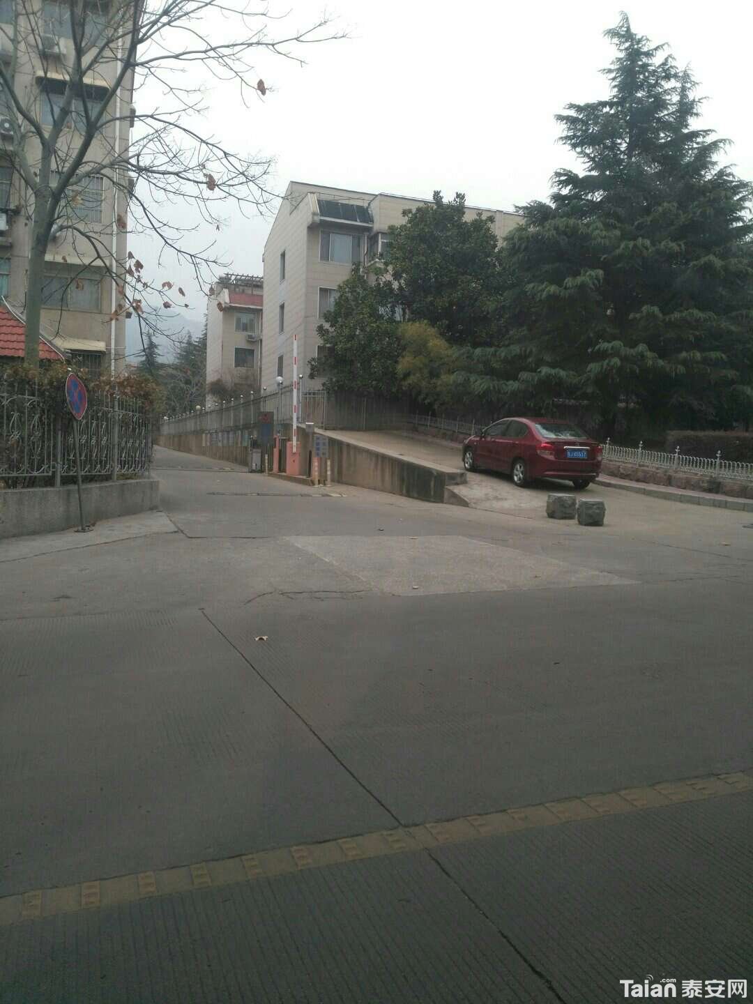 1543576728891.jpg
