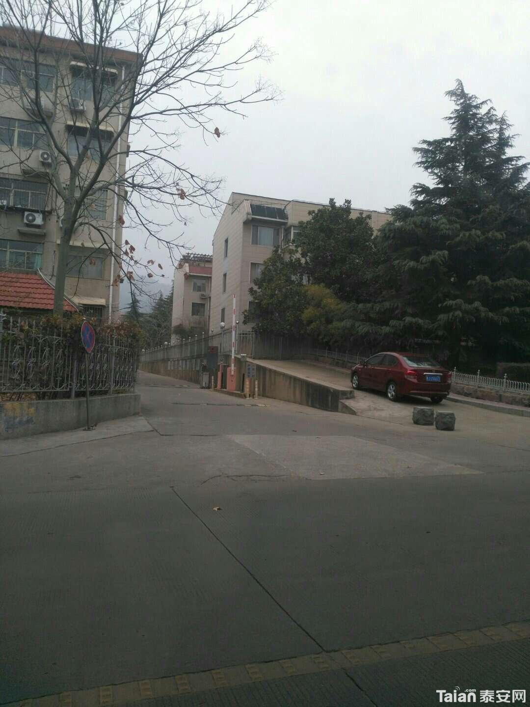 1543576803350.jpg